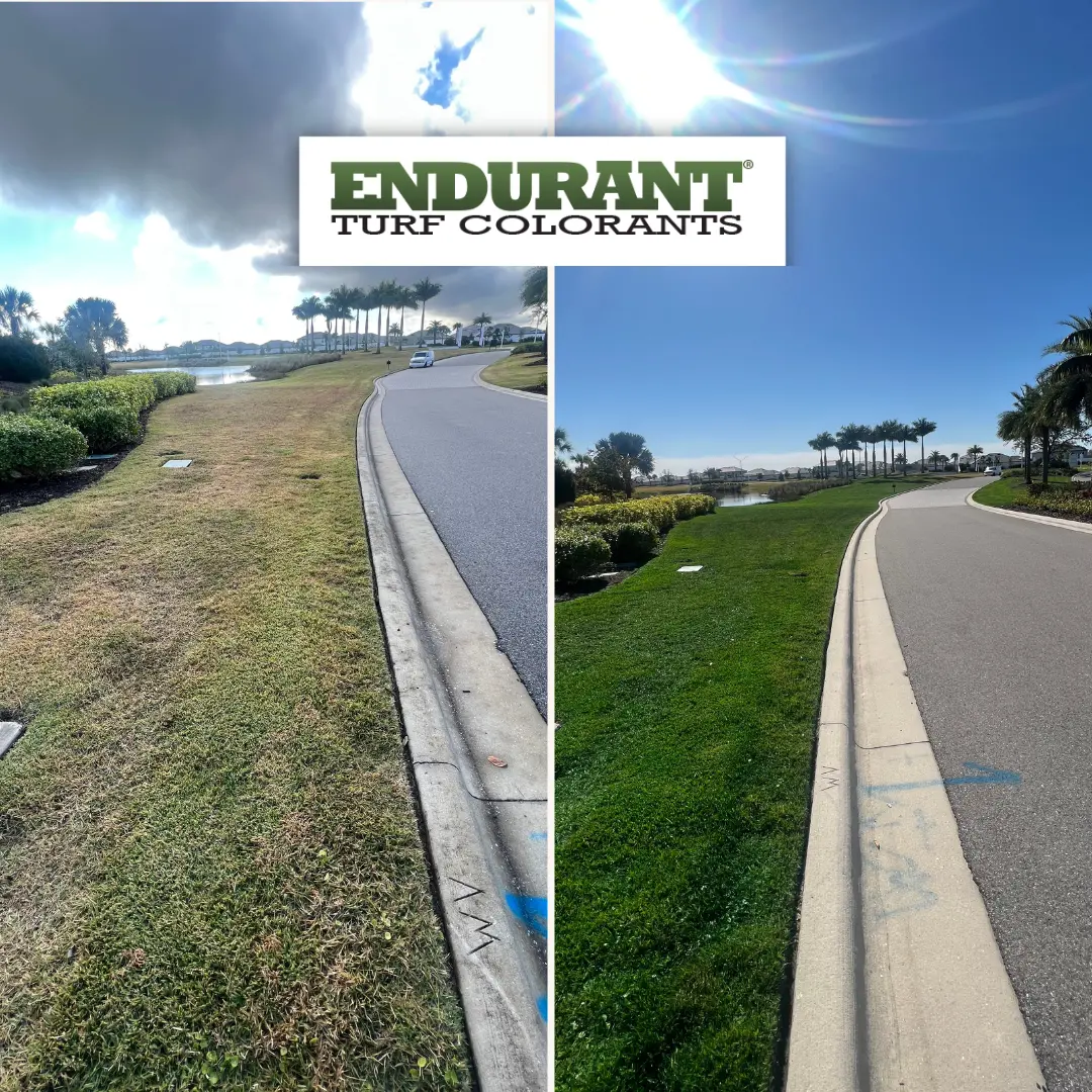 Transformación de césped con colorante